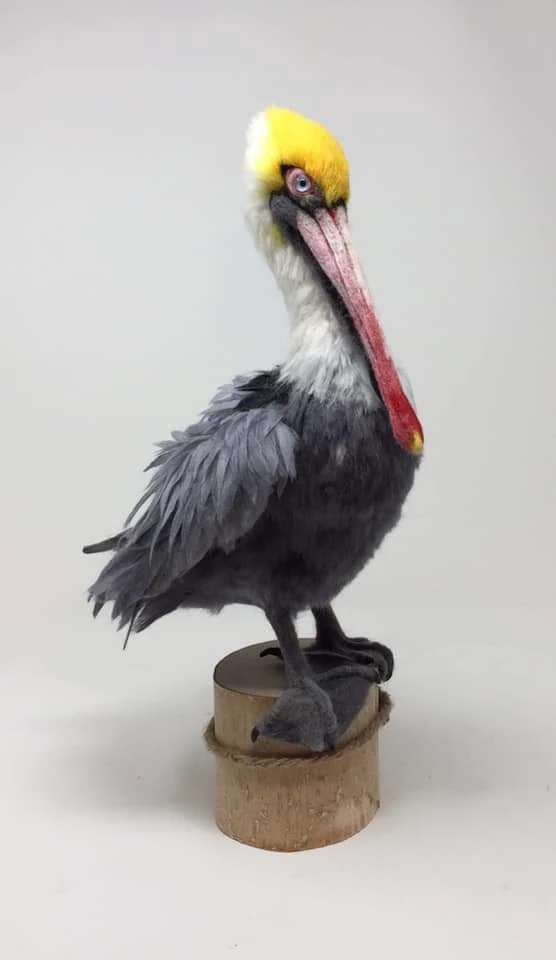 Needle-felted pelican sculpture by Irina Hughes